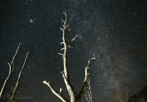 Screenshot 2026-01-06 at 6.19