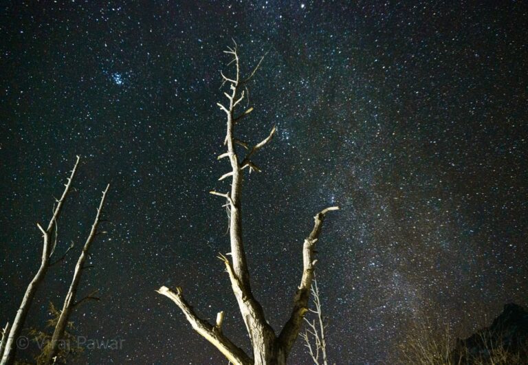 virajpawarphotography102