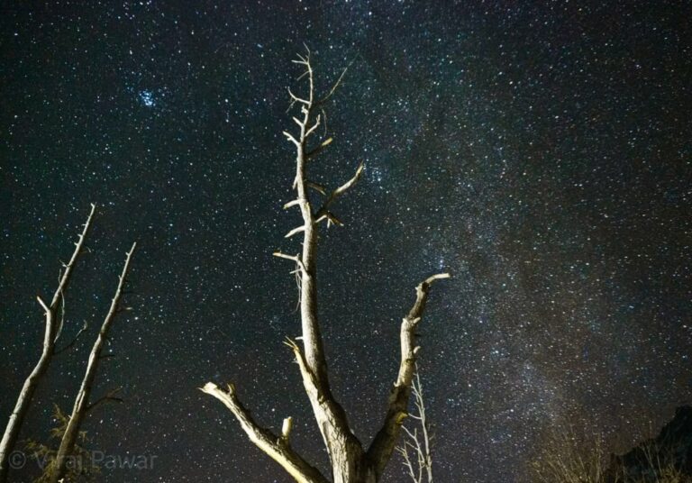 virajpawarphotography75